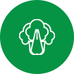 鶴壁市漢思生物技術(shù)有限公司