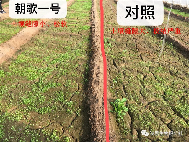 鶴壁市漢思生物技術(shù)有限公司